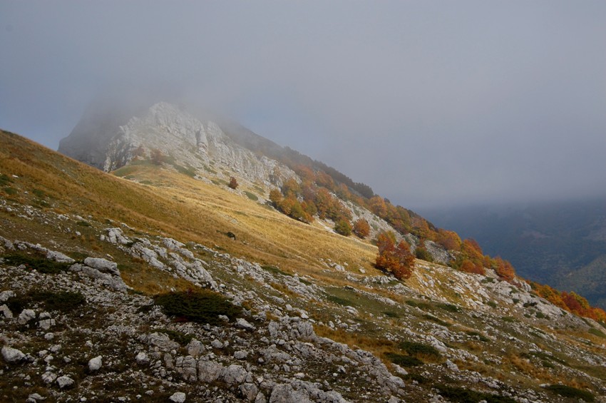 Benvenuto autunno! Esplosione di colori nel PN d''Abruzzo