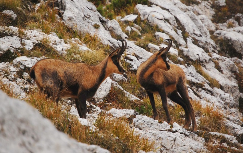 Benvenuto autunno! Esplosione di colori nel PN d''Abruzzo