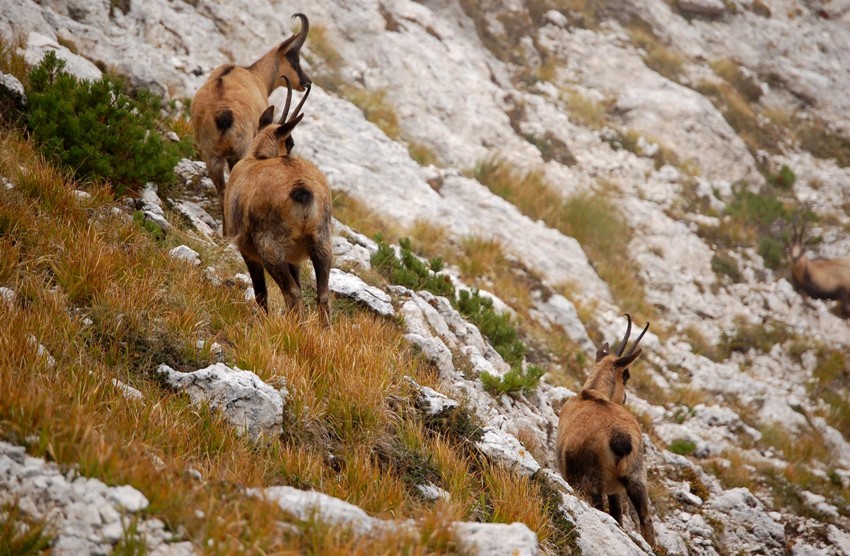 Benvenuto autunno! Esplosione di colori nel PN d''Abruzzo