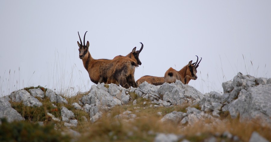 Benvenuto autunno! Esplosione di colori nel PN d''Abruzzo