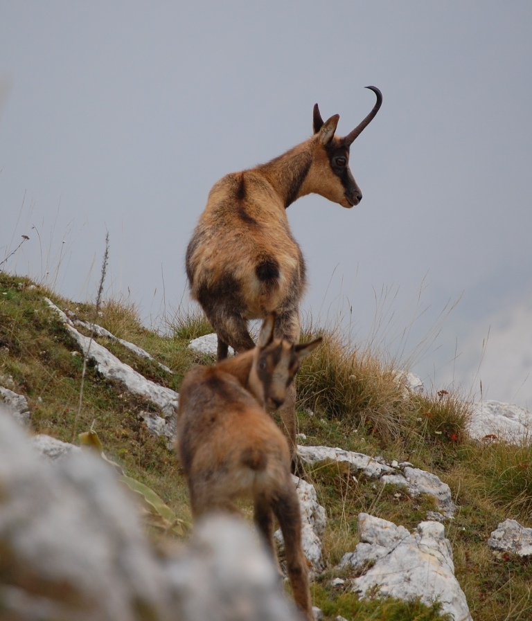 Benvenuto autunno! Esplosione di colori nel PN d''Abruzzo