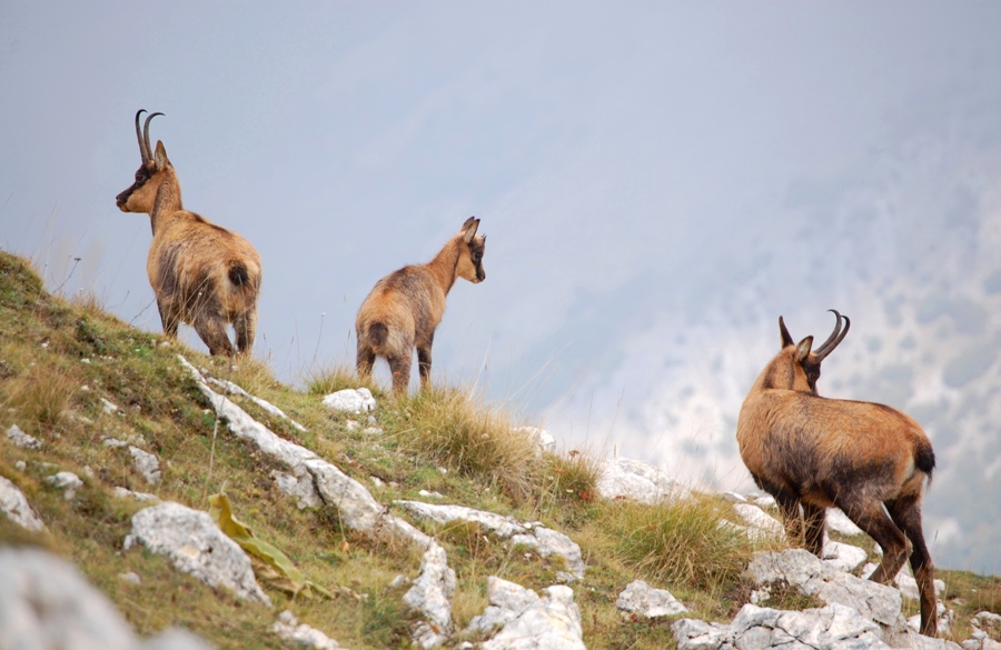 Benvenuto autunno! Esplosione di colori nel PN d''Abruzzo