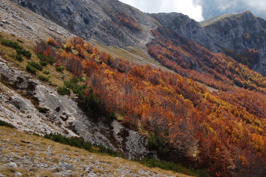 Benvenuto autunno! Esplosione di colori nel PN d''Abruzzo