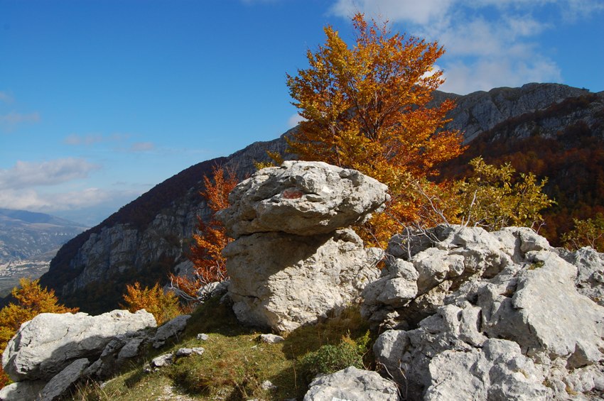 Benvenuto autunno! Esplosione di colori nel PN d''Abruzzo