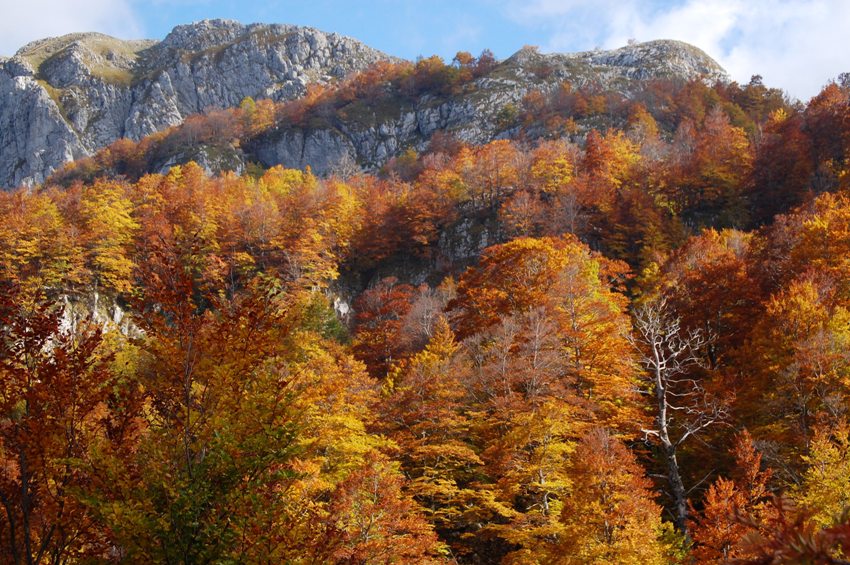 Benvenuto autunno! Esplosione di colori nel PN d''Abruzzo