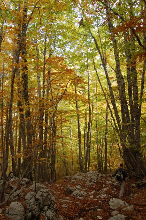 Benvenuto autunno! Esplosione di colori nel PN d''Abruzzo