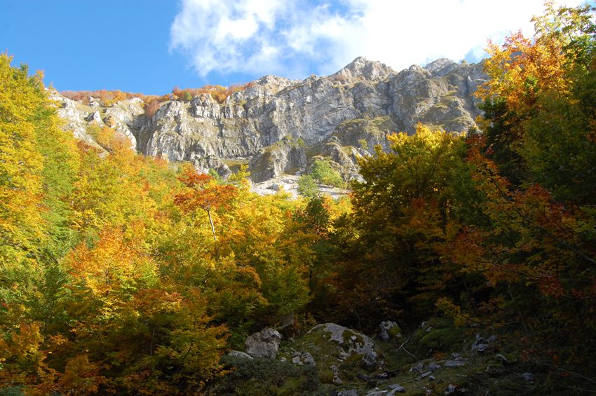 Benvenuto autunno! Esplosione di colori nel PN d''Abruzzo