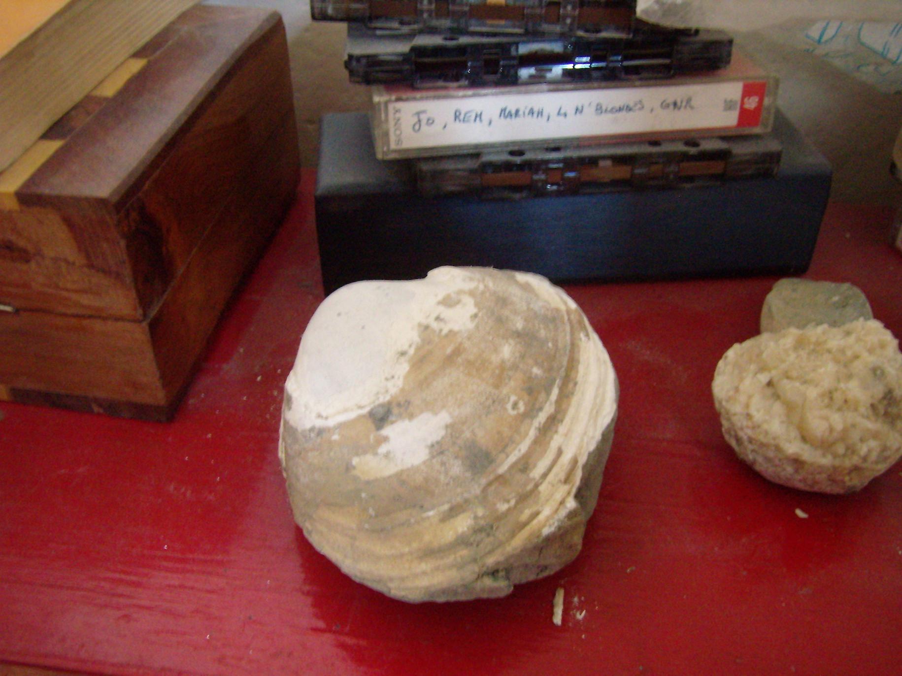 UN CONSIGLIO ,come preparo una conchiglia friabile ?