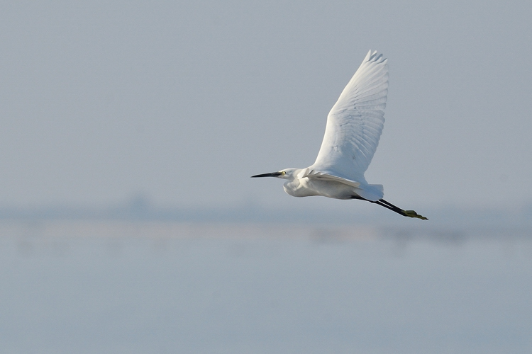 passeggiata a Lesina