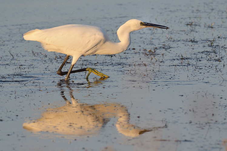 passeggiata a Lesina