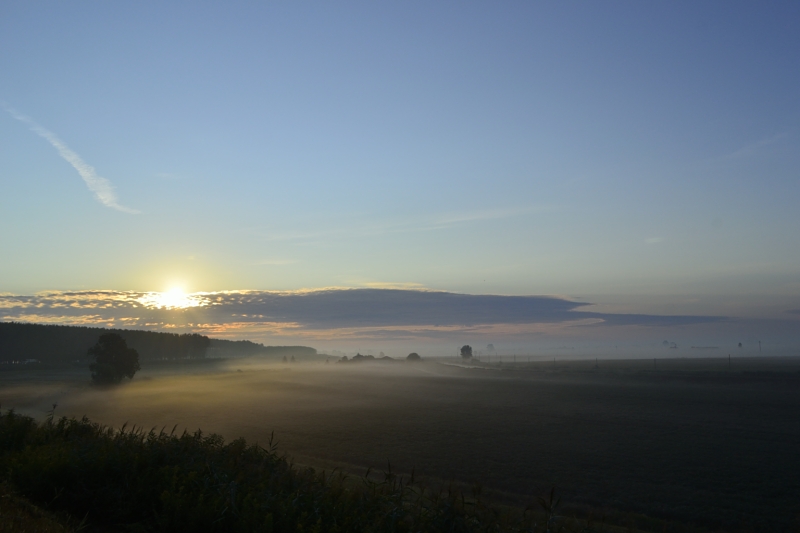 mattino