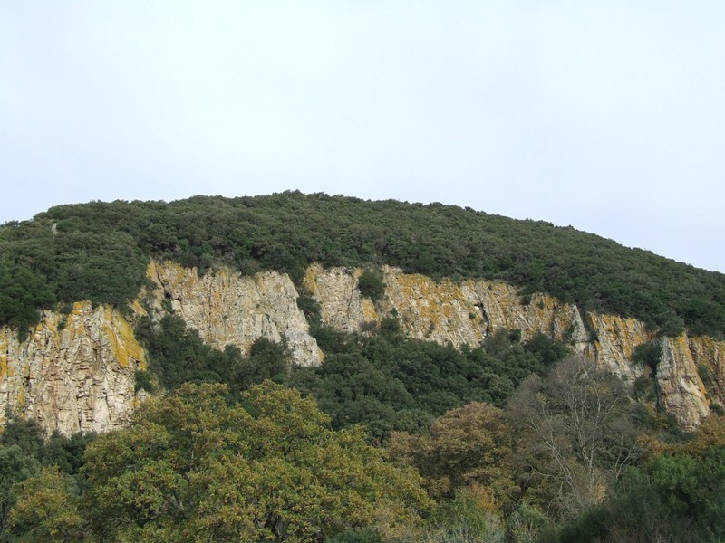 Incontro di Natura Mediterraneo a Roma (FOTO e VIDEO)