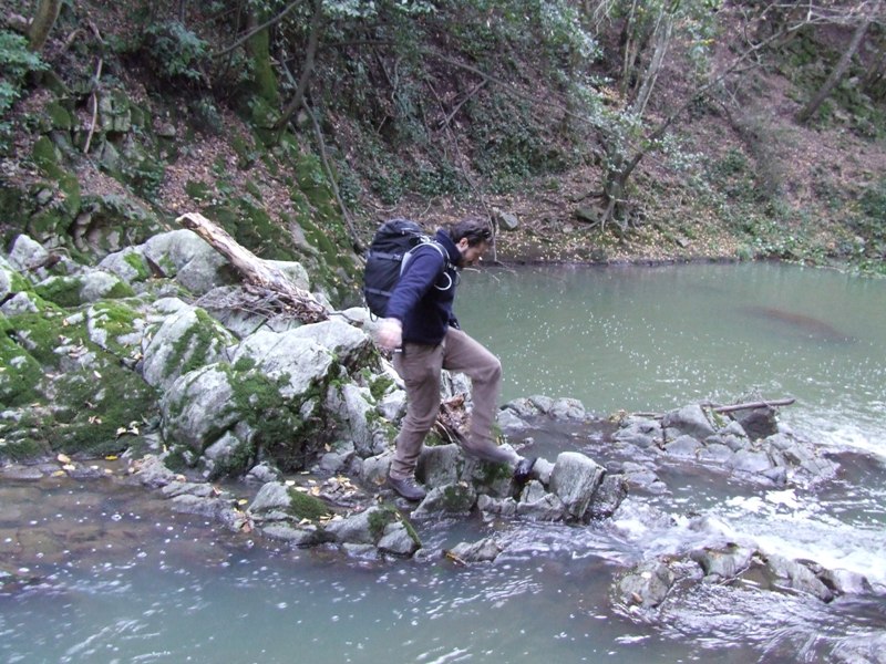 Incontro di Natura Mediterraneo a Roma (FOTO e VIDEO)