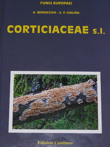 Corticiaceae s.l.