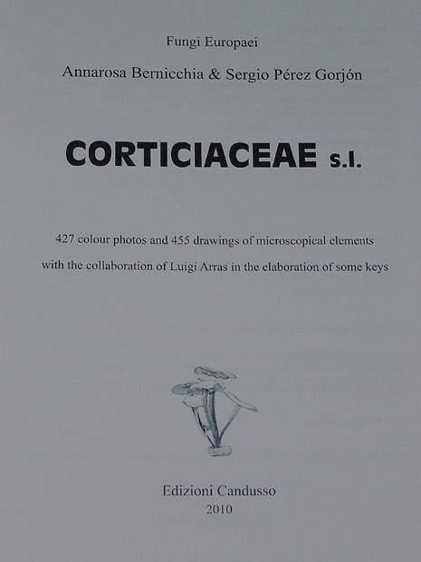 Corticiaceae s.l.