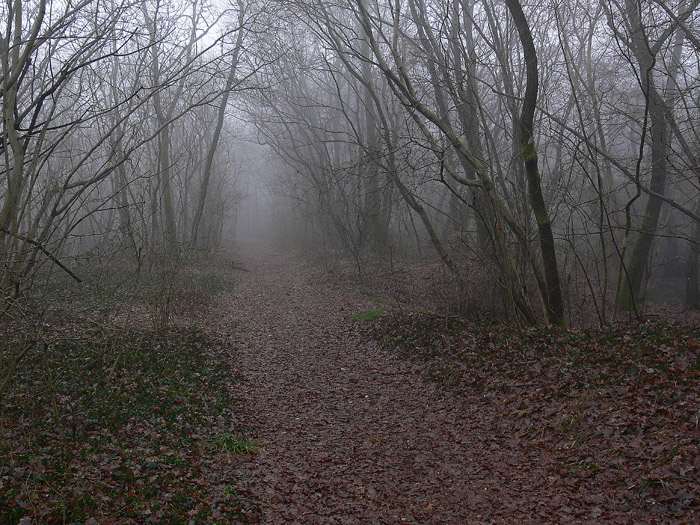 Gennaio-Febbraio 2011