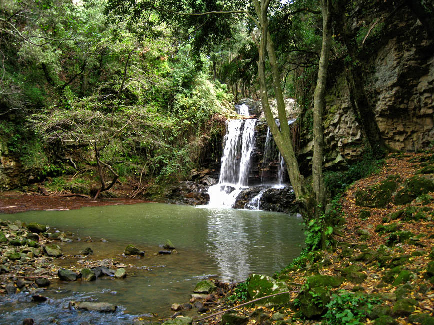 Incontro di Natura Mediterraneo a Roma (FOTO e VIDEO)