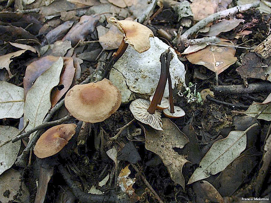 Passeggiata del 30 settembre 2010