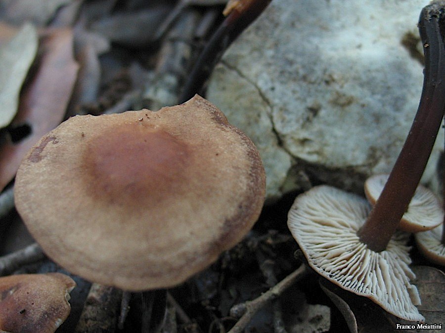 Passeggiata del 30 settembre 2010
