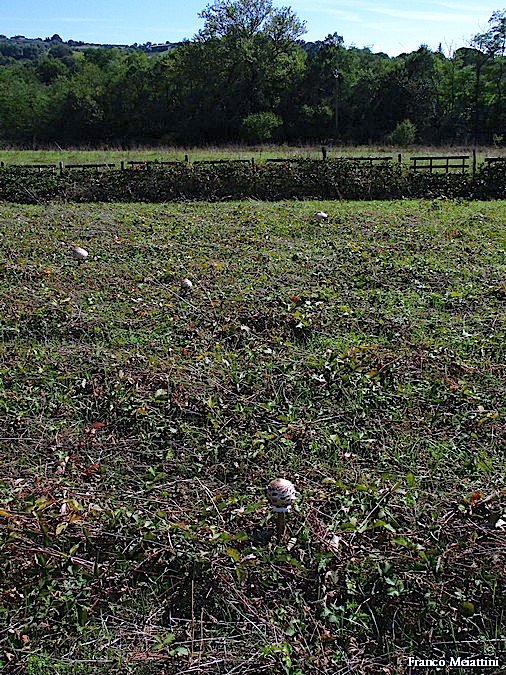 Passeggiata del 30 settembre 2010