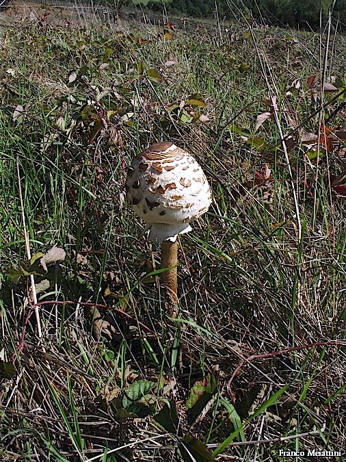 Passeggiata del 30 settembre 2010