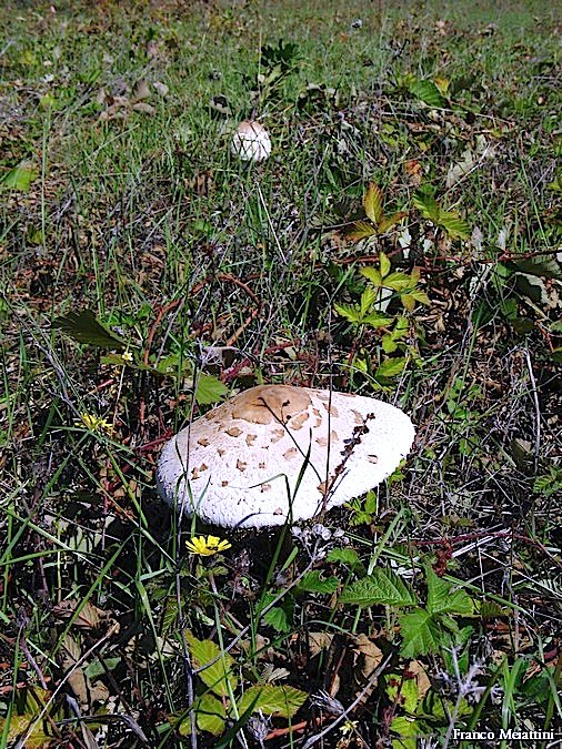 Passeggiata del 30 settembre 2010