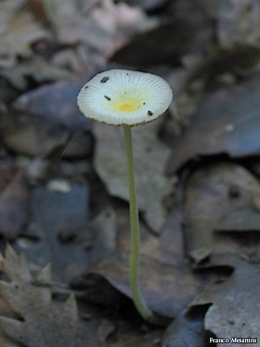 Passeggiata del 30 settembre 2010