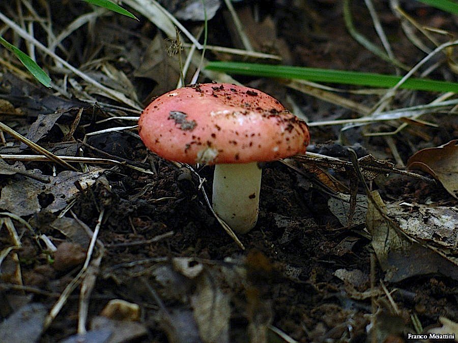 Passeggiata del 30 settembre 2010