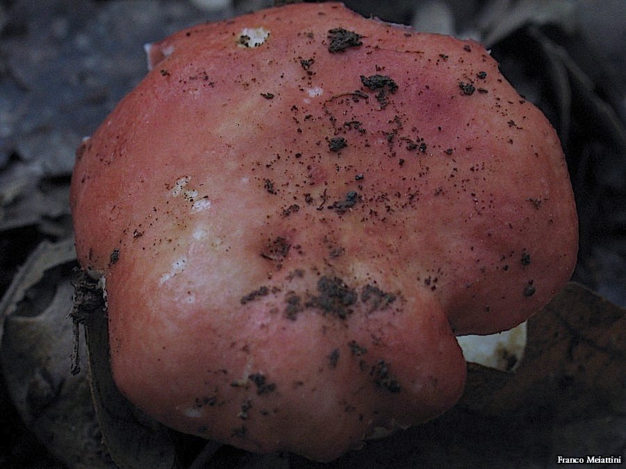 Passeggiata del 30 settembre 2010