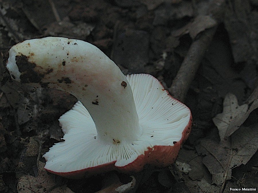 Passeggiata del 30 settembre 2010