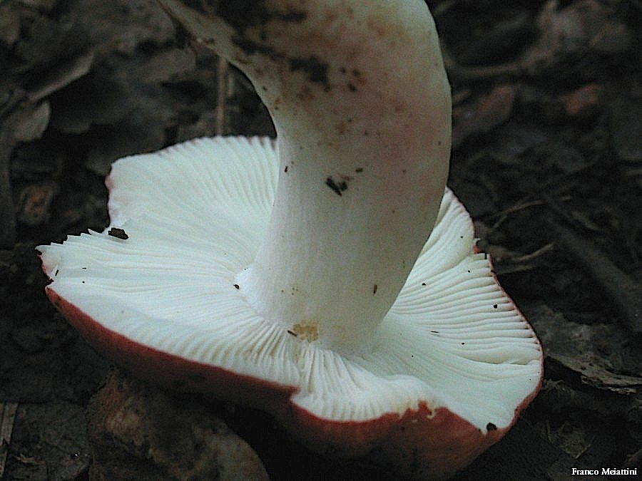 Passeggiata del 30 settembre 2010