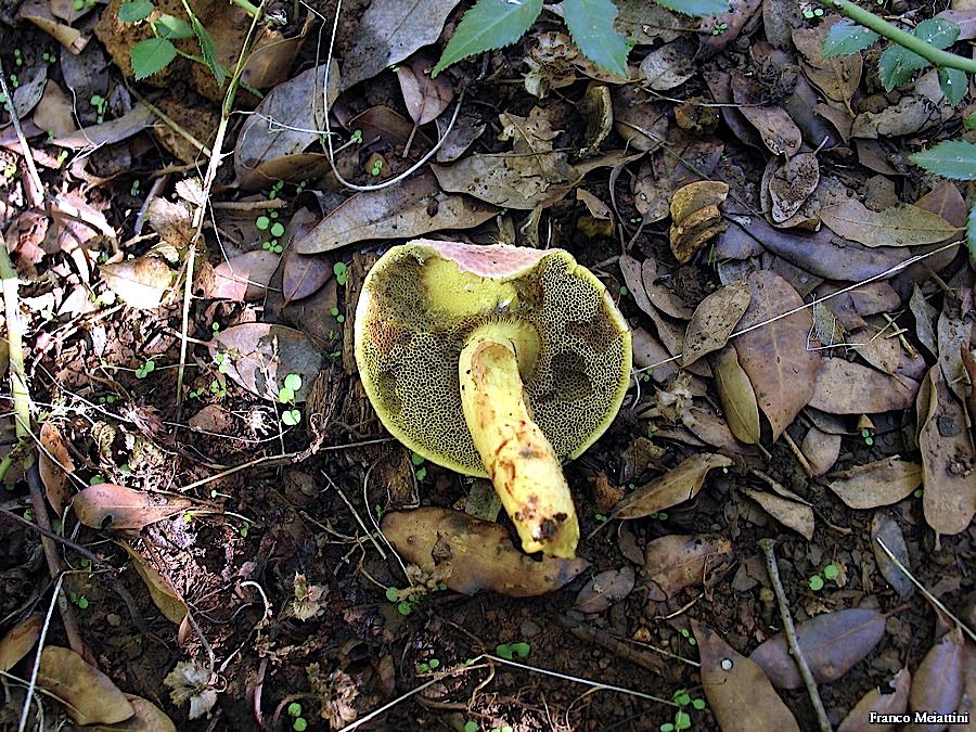 Passeggiata del 30 settembre 2010