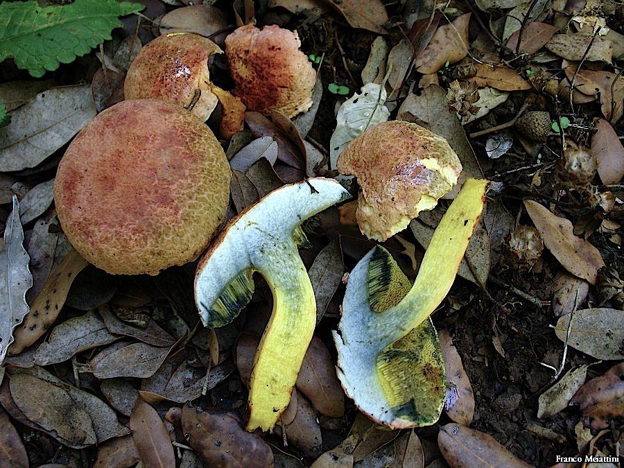 Passeggiata del 30 settembre 2010