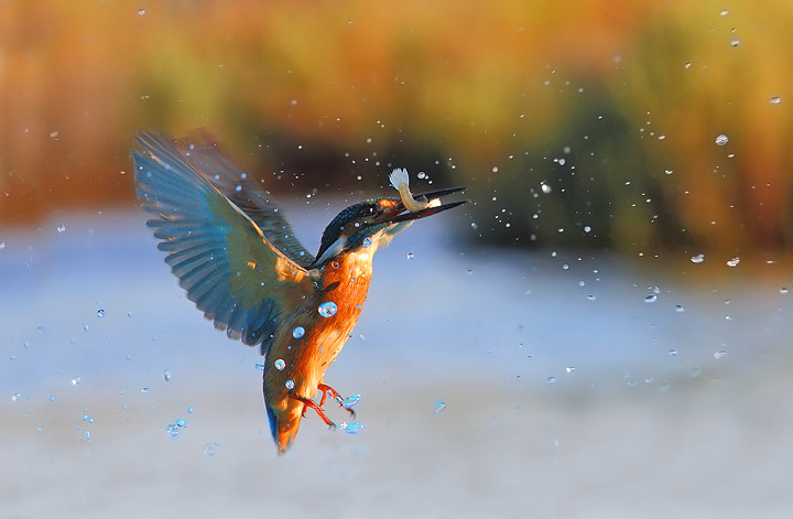 Il pescatore