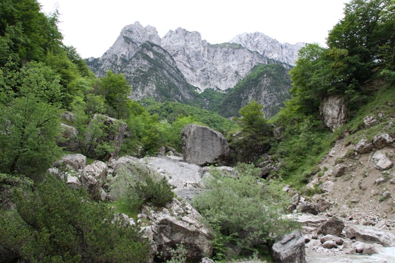 Dolomiti Friulane