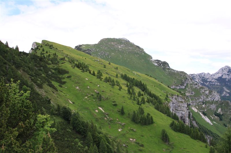 Dolomiti Friulane