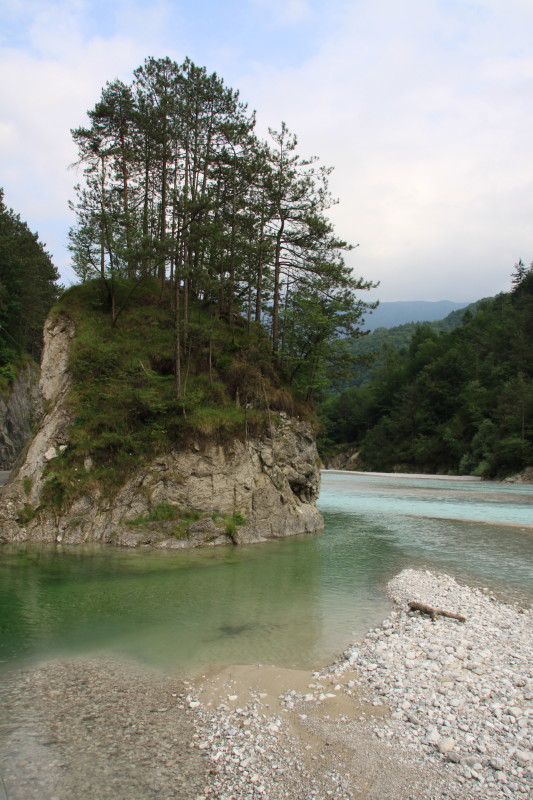 Trote Friulane