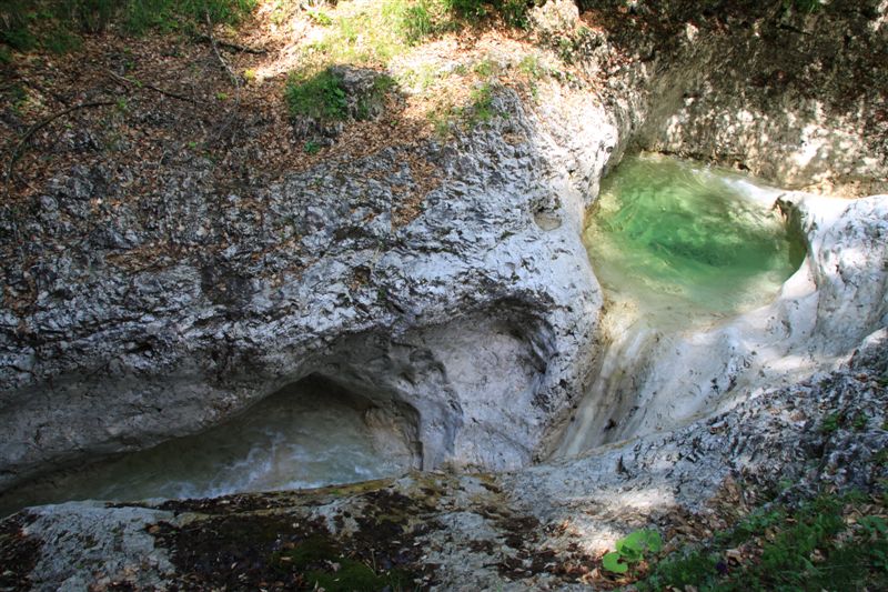 Dolomiti Friulane