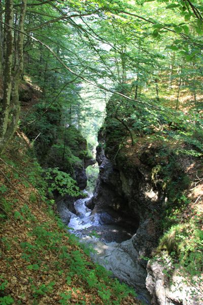 Dolomiti Friulane