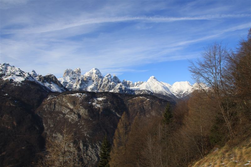 Dolomiti Friulane