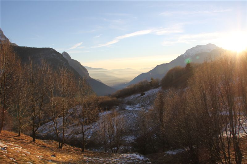 Dolomiti Friulane