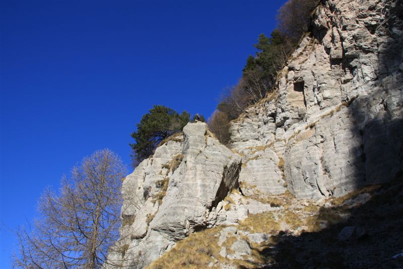 Dolomiti Friulane