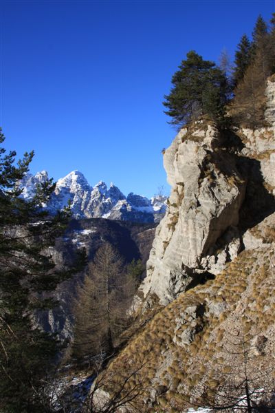 Dolomiti Friulane