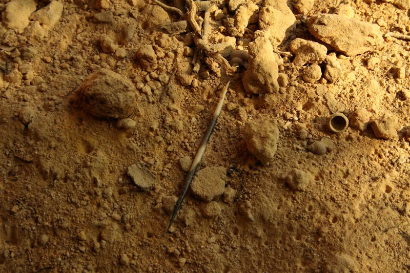 Tour con Massimo (Frustone)