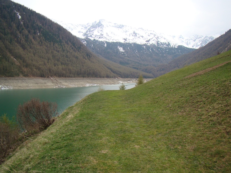 Laghi.....dell''ALTO ADIGE