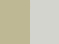 russula