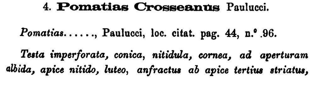 Cochlostoma crosseanum (Paulucci, 1879)