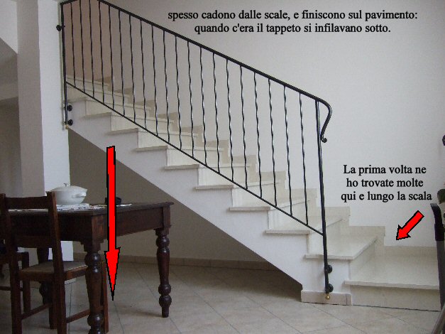 Aiuto! LARVE in casa..(foto inside) che pare cadano da sopra