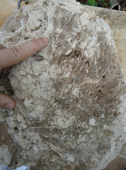 Richiesta determinazione