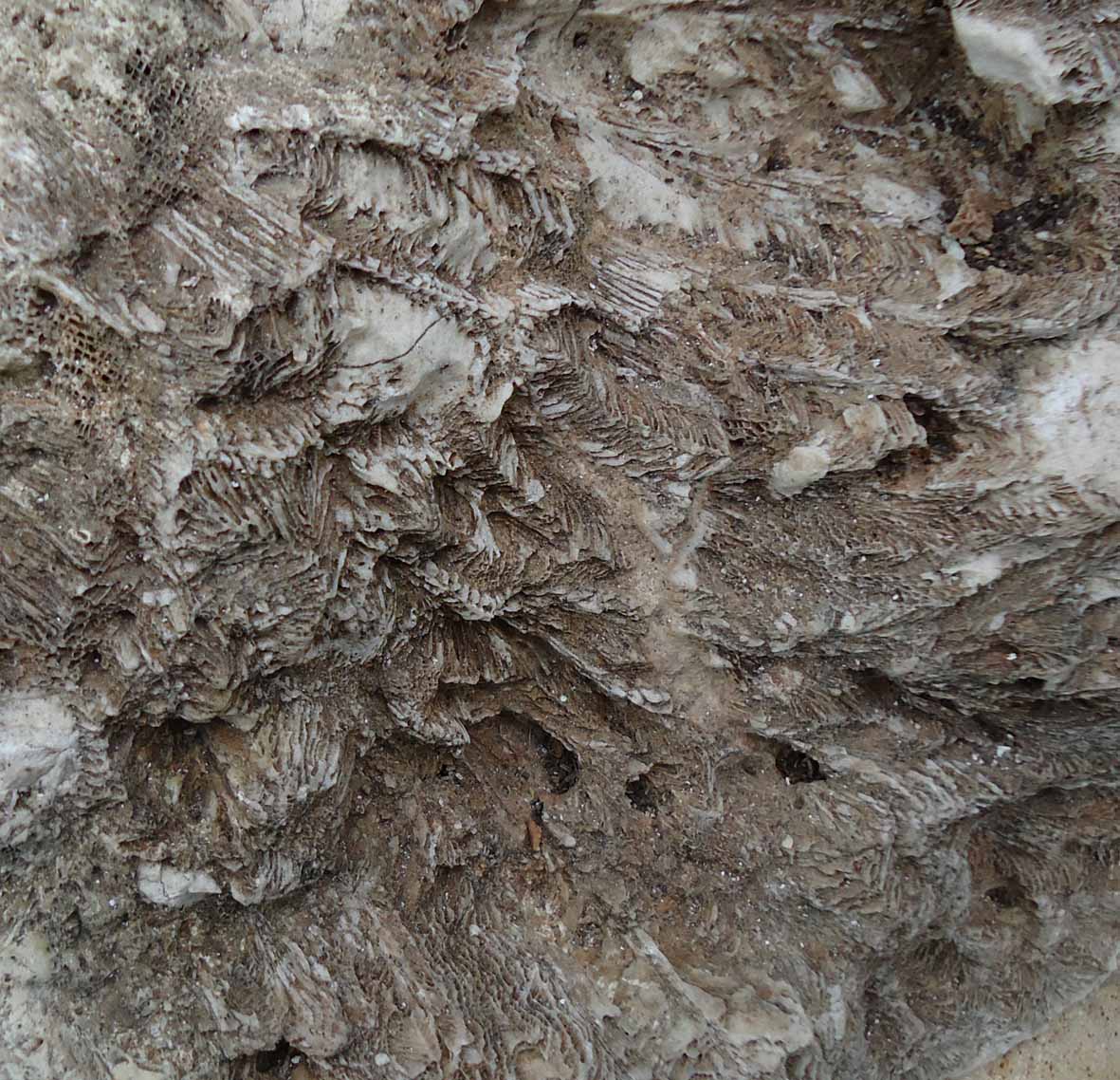 Richiesta determinazione